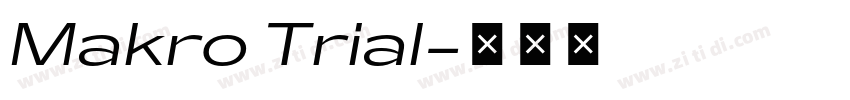 Makro Trial字体转换